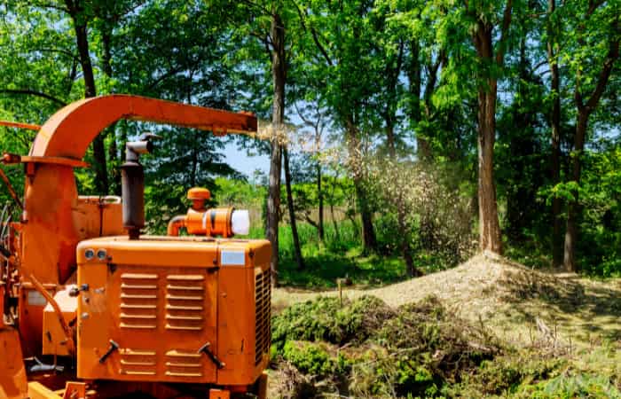 Top Rated Tree Care Company in Hershey, PA
